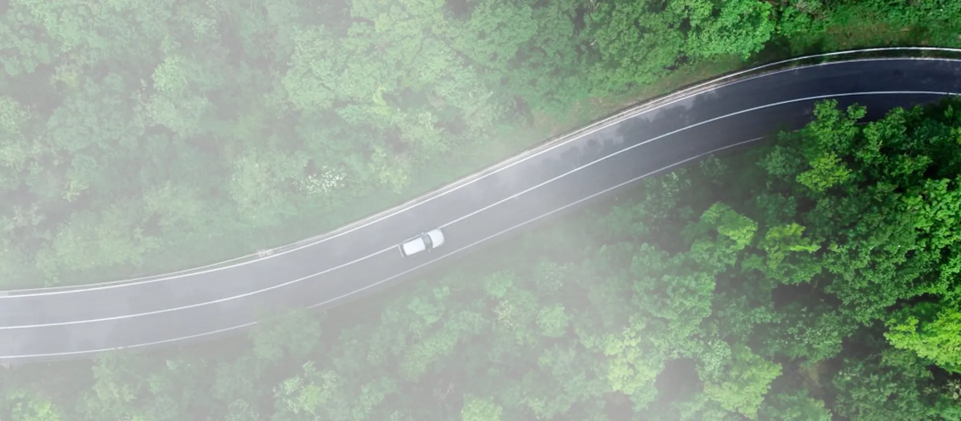 An aerial view of a car driving along a road surrounded by trees